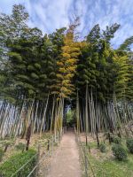 247. Jap. Landschaftsgarten Shukkei-en, Hiroshima, Japan &ndash; &copy; Teresa Rumpel (Eberhardt TRAVEL)