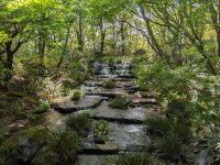 263. Koko-en Landschaftsgarten, Himeji, Japan &ndash; &copy; Teresa Rumpel (Eberhardt TRAVEL)