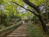288. Ryoan-ji Tempel mit Steingarten, Kyoto, Japan &ndash; &copy; Teresa Rumpel (Eberhardt TRAVEL)