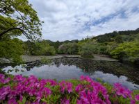 291. Ryoan-ji Tempel mit Steingarten, Kyoto, Japan &ndash; &copy; Teresa Rumpel (Eberhardt TRAVEL)