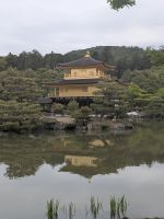 294. Goldener Pavillion - Kinkaku-ji Tempel, Kyoto, Japan &ndash; &copy; Teresa Rumpel (Eberhardt TRAVEL)