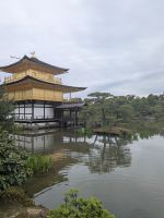 296. Goldener Pavillion - Kinkaku-ji Tempel, Kyoto, Japan &ndash; &copy; Teresa Rumpel (Eberhardt TRAVEL)