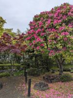 323. Gotemba Friedenspark Fuji Heiwa, Shizuoka, Japan &ndash; &copy; Teresa Rumpel (Eberhardt TRAVEL)