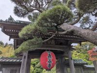 359. Hase-dera Tempel, Kamakura, Japan &ndash; &copy; Teresa Rumpel (Eberhardt TRAVEL)