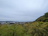 367. Hase-dera Tempel, Kamakura, Japan &ndash; &copy; Teresa Rumpel (Eberhardt TRAVEL)