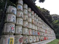 378. Meji Schrein, Tokio, Japan &ndash; &copy; Teresa Rumpel (Eberhardt TRAVEL)