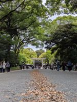 379. Meji Schrein, Tokio, Japan &ndash; &copy; Teresa Rumpel (Eberhardt TRAVEL)
