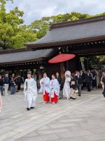 380. Hochzeit am Meji Schrein, Tokio, Japan &ndash; &copy; Teresa Rumpel (Eberhardt TRAVEL)