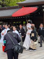 381. Hochzeit am Meji Schrein, Tokio, Japan &ndash; &copy; Teresa Rumpel (Eberhardt TRAVEL)