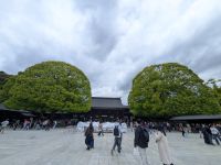 382. Meji Schrein, Tokio, Japan &ndash; &copy; Teresa Rumpel (Eberhardt TRAVEL)