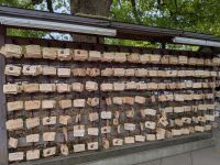 385. Meji Schrein, Tokio, Japan &ndash; &copy; Teresa Rumpel (Eberhardt TRAVEL)