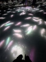 428. teamLab Planets - immersives Kunstmuseum, Tokio, Japan &ndash; &copy; Teresa Rumpel (Eberhardt TRAVEL)