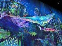 434. teamLab Planets - immersives Kunstmuseum, Tokio, Japan &ndash; &copy; Teresa Rumpel (Eberhardt TRAVEL)