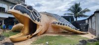 265 Schildkrötenprojekt Sri Lanka
