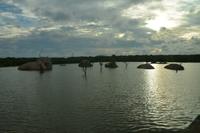 268 Yala Nationalpark