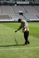 Der Rasen wird gedüngt und hübsch grün gemacht