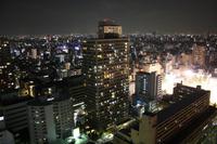 Blick aus dem Hotel in Tokio