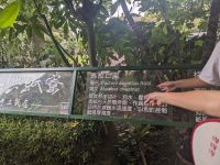 323.  Papierfabrik auf dem Weg zum Sonne-Mond-See in Puli, Taiwan