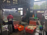 324.  Papierfabrik auf dem Weg zum Sonne-Mond-See in Puli, Taiwan