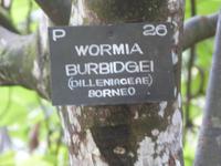 Botanische Garten von Kandy