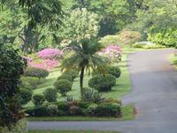 Botanische Garten von Kandy