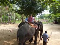 beim Elefantenreiten