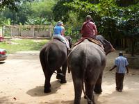 beim Elefantenreiten