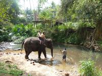 beim Elefantenreiten