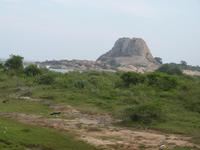 Safari im Yale-Nationalpark