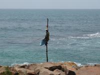 Südwestküste Sri Lankas-Stelzenfischer