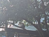 456. Baxian Höhenformation, Ostküste Taiwan