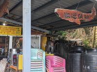 458. Baxian Höhenformation, Ostküste Taiwan