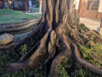 465. Historischer Bahnhof Hualien, Taiwan