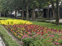 479. Gaeavilla Resort Außengelände, Hualien, Ostküste Taiwan