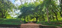 49 Ankunft Sigiriya Löwenfelsen