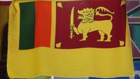 0065 Stadtrundfahrt Colombo - Nationalflagge von Sri Lanka