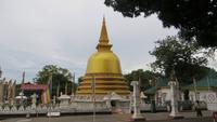 0211 Goldener Tempel in  Dumbulla -