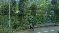 0585 Fahrt nach Nuwara Eliya -
