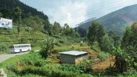 0617 Fahrt nach Nuwara Eliya -
