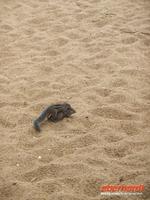 unsere kleinen Freunde :)