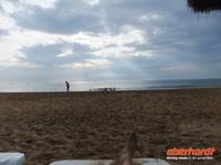 die Mutigen wagen sich ins Meer