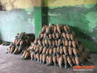 der Beginn unsrer aller Ananas-Sucht...