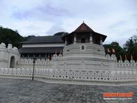 hier liegt der Eckzahn Buddhas