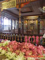 der Zahn wird nur ein mal aller 4 Jahre gezeigt