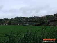 Fahrt durchs Hochland von Nuwara Eliya