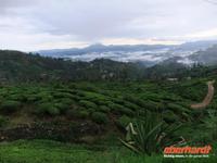 wir verlassen das wunderschöne Hochland