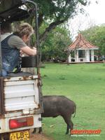 die Jeepsafari beginnt!