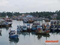 Blick auf den Fischerhafen