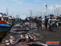 Fischerhafen in Beruwela