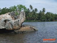 und DA ist es: ein Krokodil